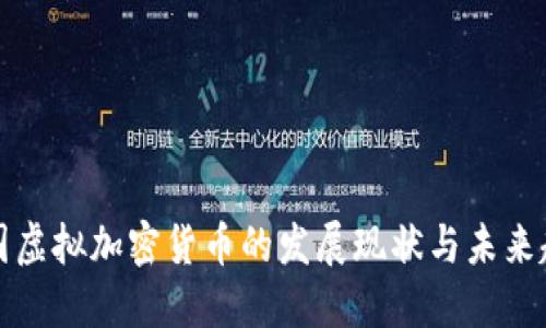 中国虚拟加密货币的发展现状与未来趋势