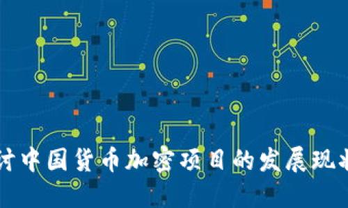 深入探讨中国货币加密项目的发展现状与未来