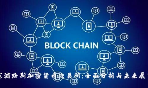 塞浦路斯加密货币交易所：全面分析与未来展望