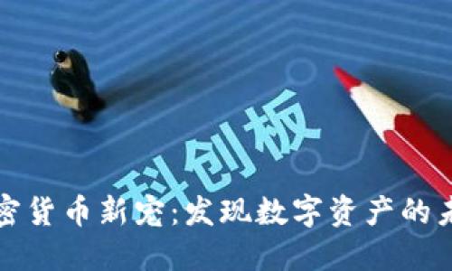 加密货币新宠：发现数字资产的未来