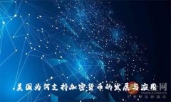 美国为何支持加密货币的