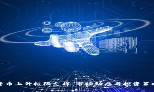 加密货币上升极限支撑：市场动态与投资策略解析