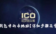 如何查看TP钱包中的币地址