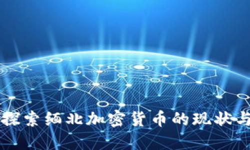 深入探索缅北加密货币的现状与未来