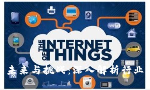 数字加密货币的未来与挑战：深入解析行业现状与发展趋势