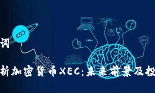 和关键词

深入解析加密货币XEC：未来前景及投资价值
